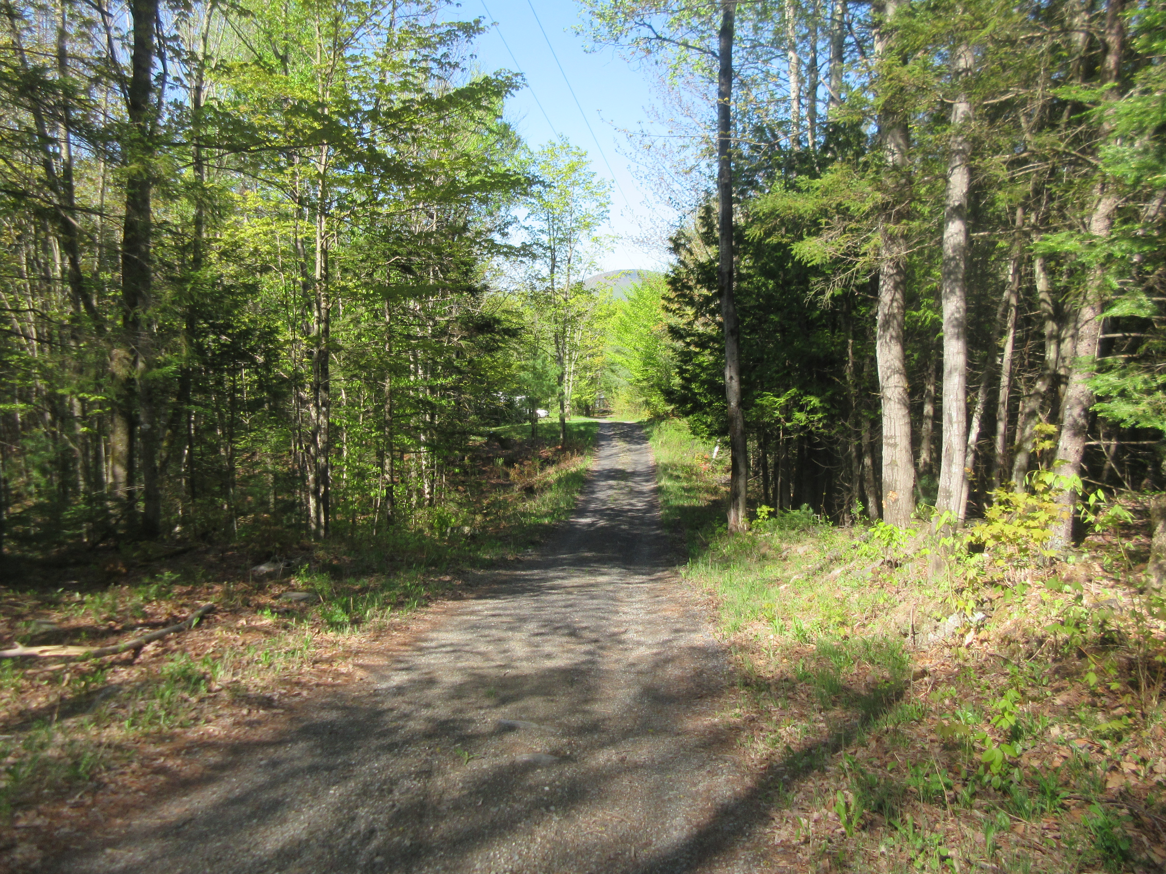 Lake Willoughby Real Estate CENTURY 21 Farm & Forest